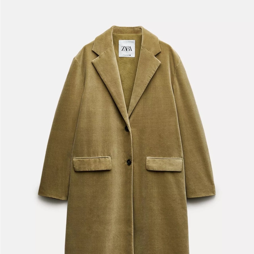 Zara Velvet coat